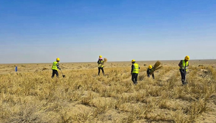 迎風(fēng)奮進(jìn) 實(shí)干爭先--酒泉市黑河中游防沙治沙林草綜合治理項(xiàng)目建設(shè)按下“快進(jìn)鍵”