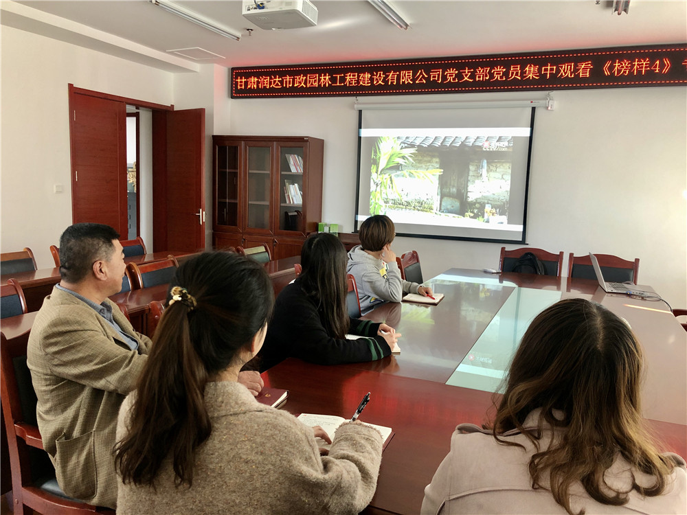潤達(dá)公司 2019年10月22日 潤達(dá)公司黨支部集中觀看《榜樣4》專題節(jié)目 002.jpg
